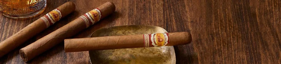 Mild cigars guide